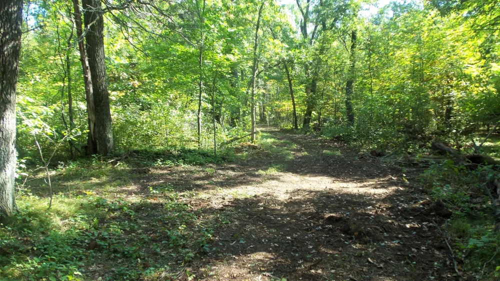 Lot 4 East River Rd Grantsburg, WI 54840