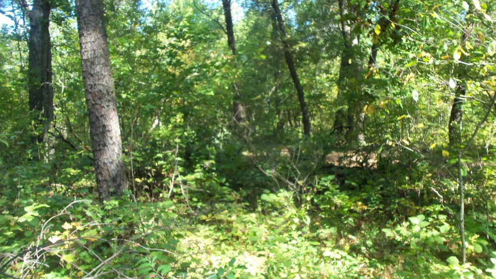 Lot 4 East River Rd Grantsburg, WI 54840