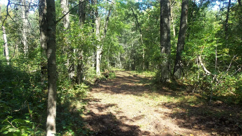 Lot 4 East River Rd Grantsburg, WI 54840