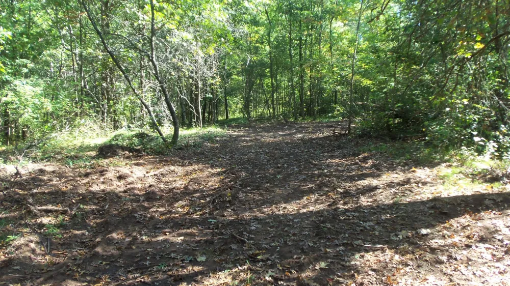 Lot 4 East River Rd Grantsburg, WI 54840