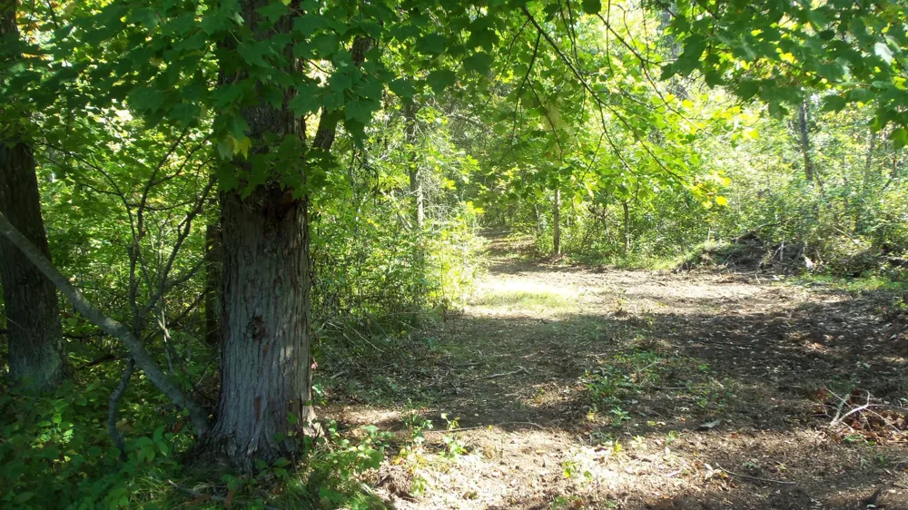 Lot 4 East River Rd Grantsburg, WI 54840