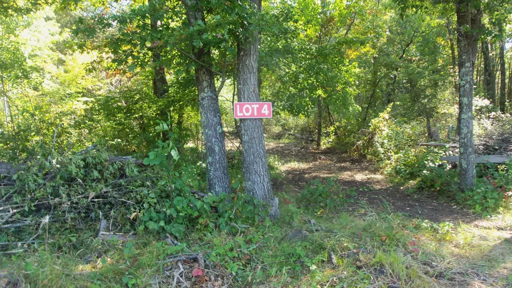 Lot 4 East River Rd Grantsburg, WI 54840