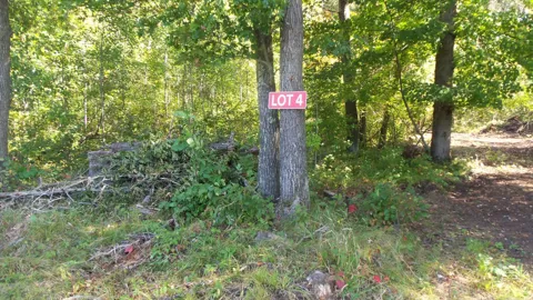 Lot 4 East River Rd