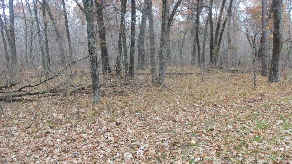 Lot 4 East River Rd Grantsburg, WI 54840