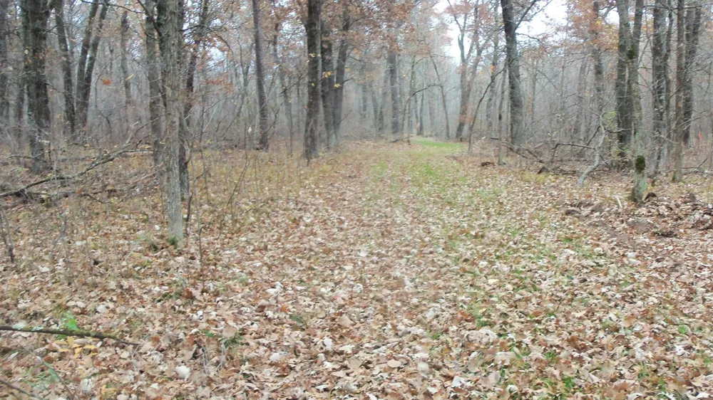 Lot 4 East River Rd Grantsburg, WI 54840