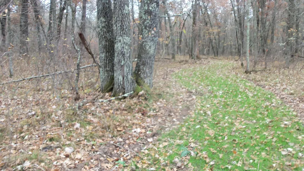 Lot 4 East River Rd Grantsburg, WI 54840