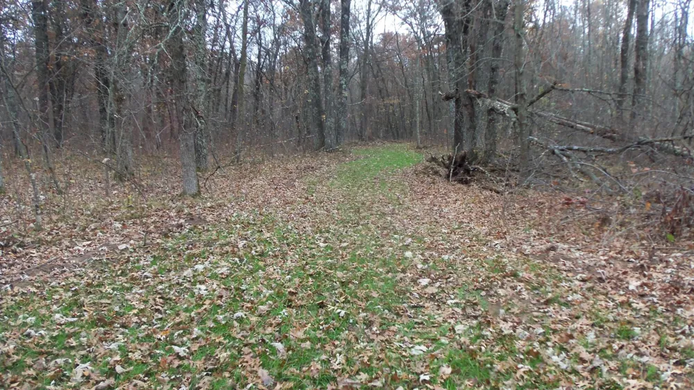 Lot 4 East River Rd Grantsburg, WI 54840