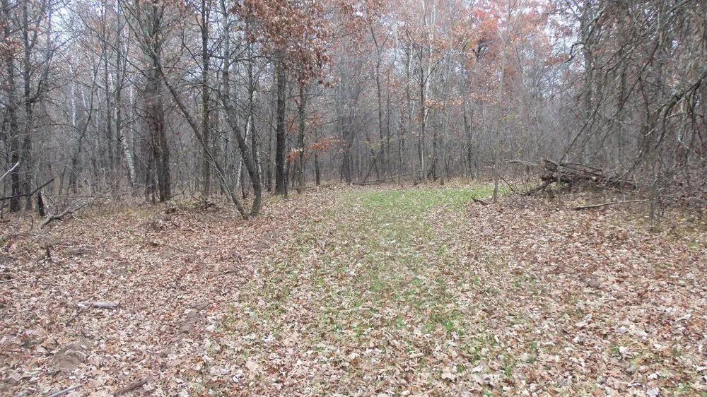 Lot 4 East River Rd Grantsburg, WI 54840