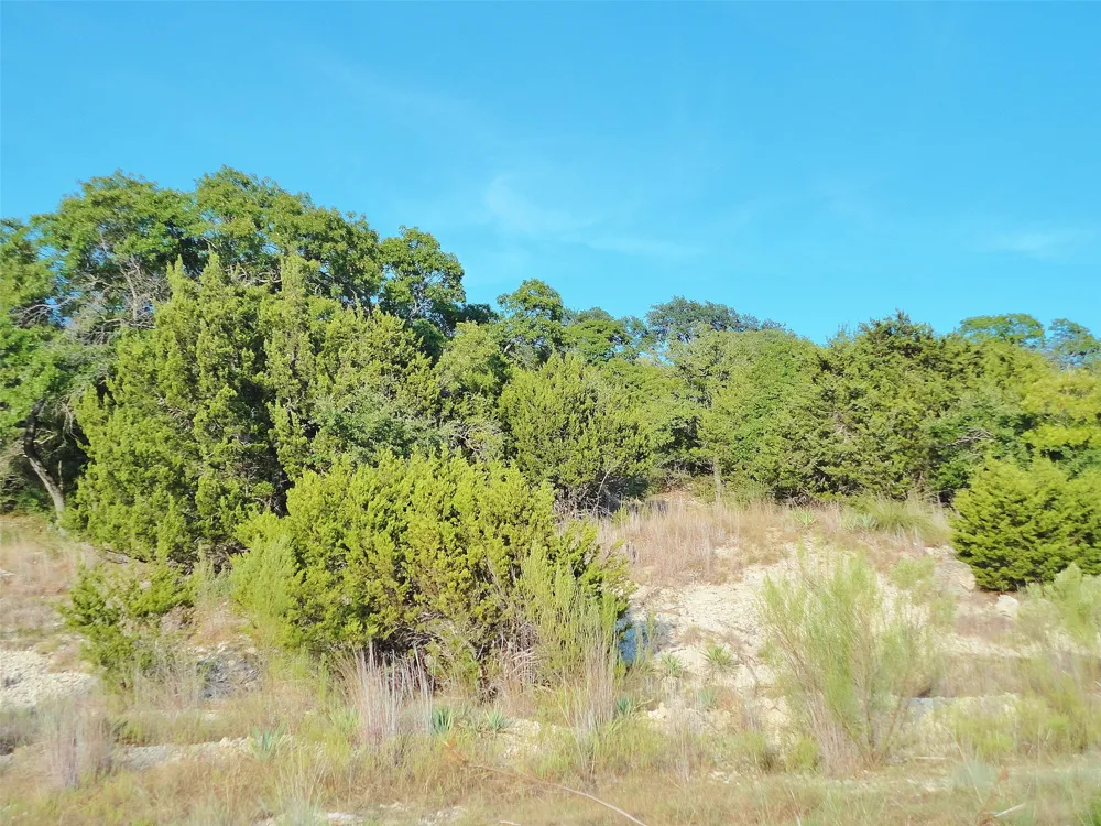 105 Cedar Bluff Court Harker Heights, TX 76548
