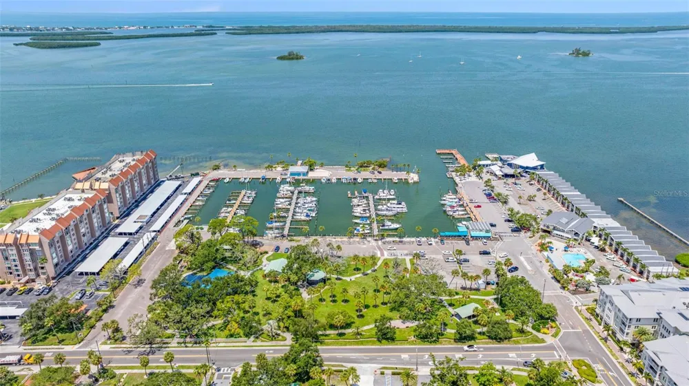 400 GLENNES LANE #206 Dunedin, FL 34698