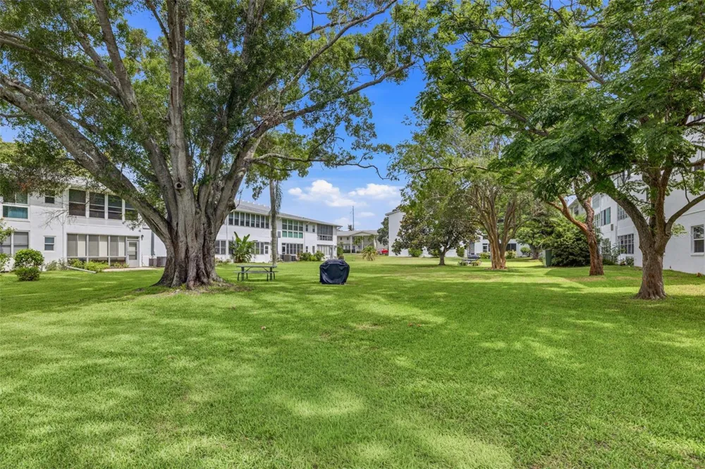 400 GLENNES LANE #206 Dunedin, FL 34698