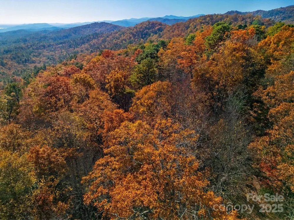 TBD Old Toxaway Road Brevard, NC 28712