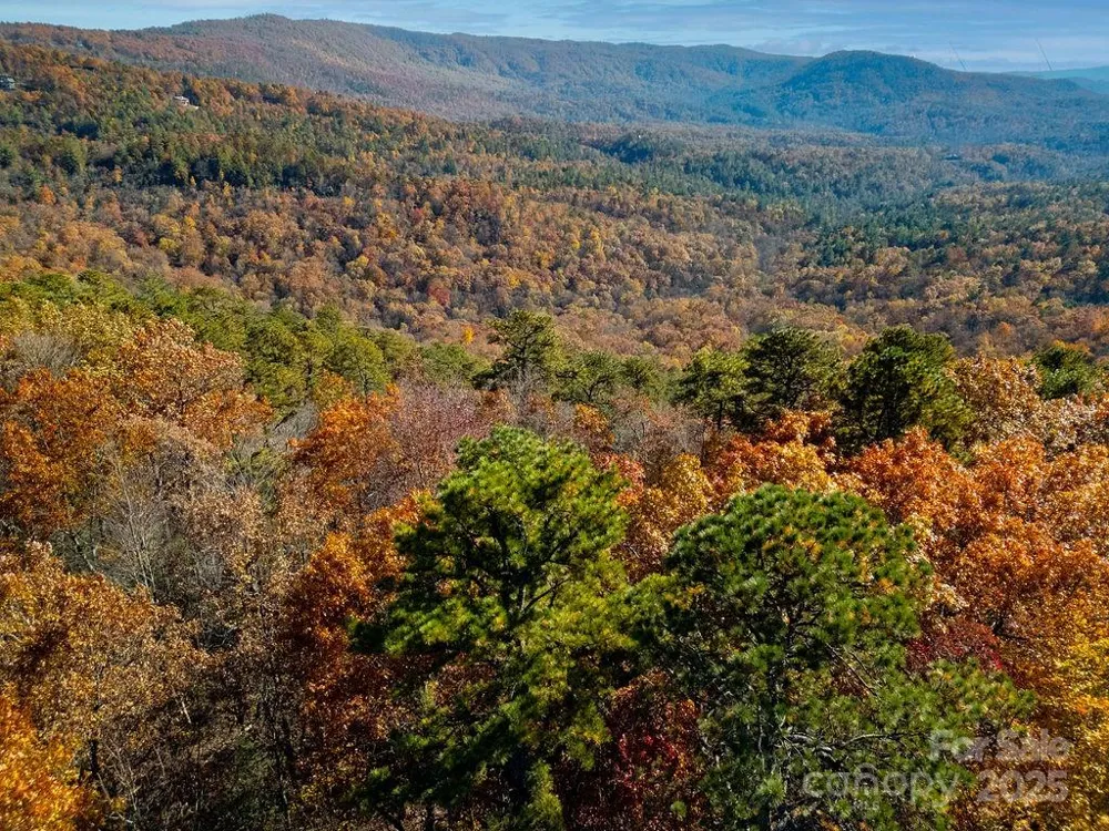 TBD Old Toxaway Road Brevard, NC 28712