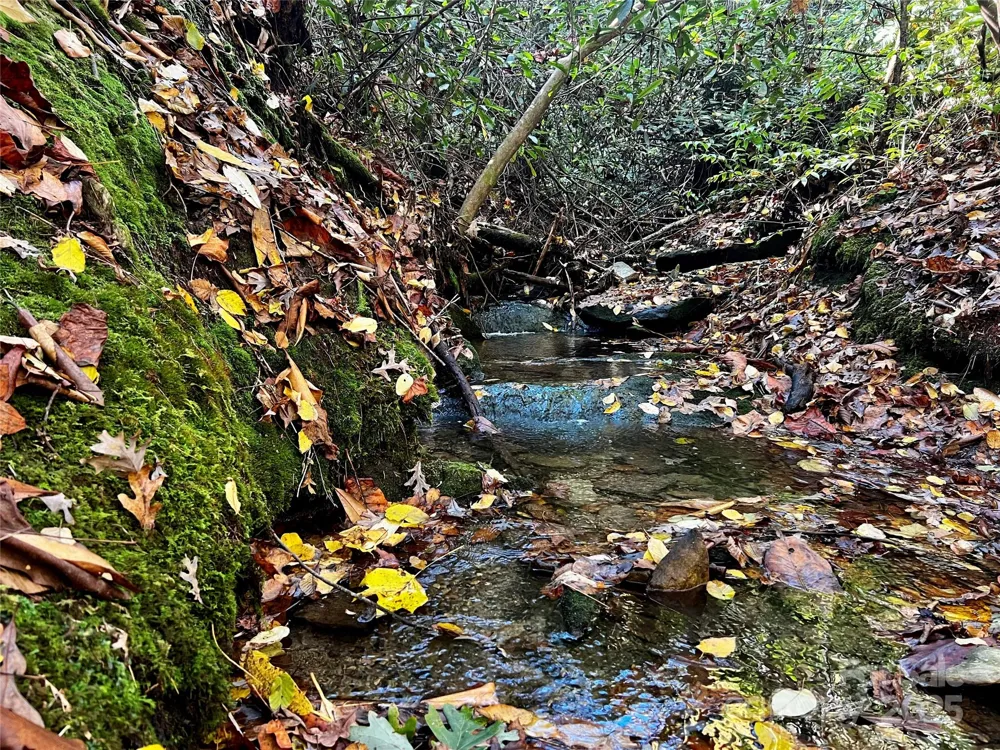 TBD Old Toxaway Road Brevard, NC 28712