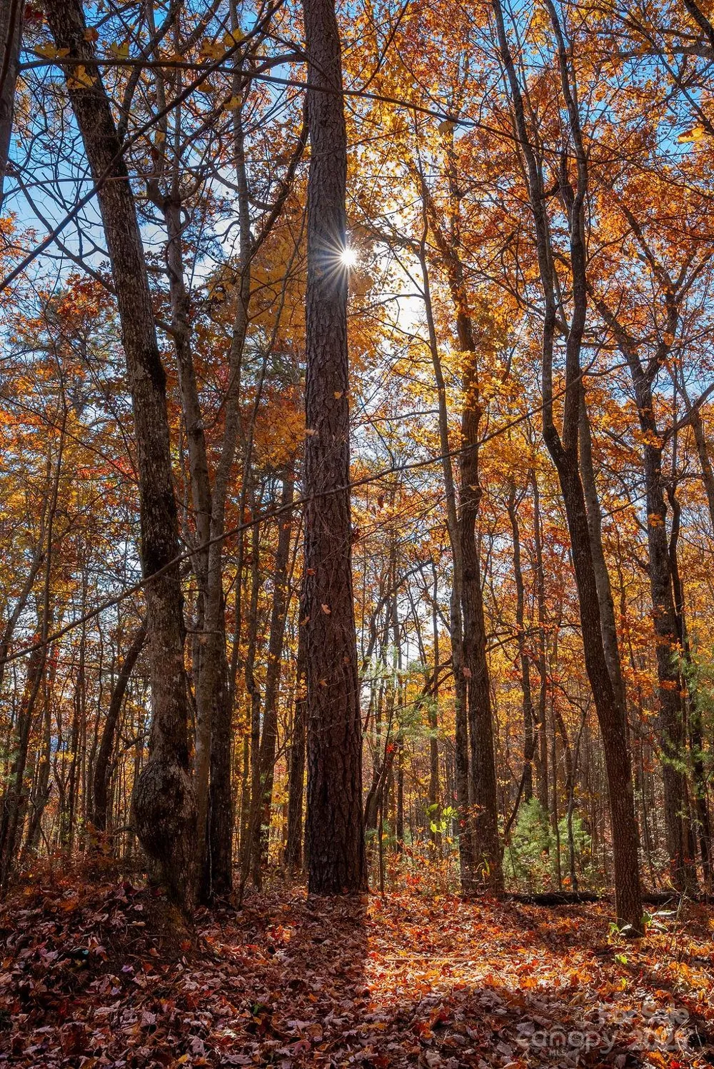 TBD Old Toxaway Road Brevard, NC 28712