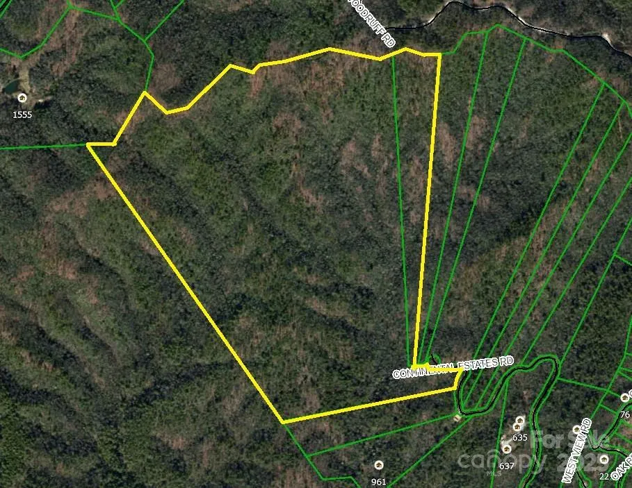 TBD Old Toxaway Road Brevard, NC 28712
