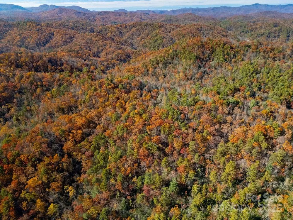 TBD Old Toxaway Road Brevard, NC 28712