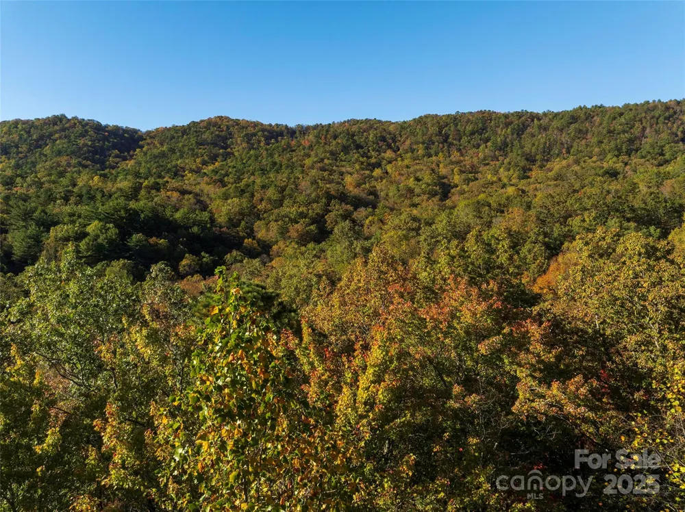 TBD Old Toxaway Road Brevard, NC 28712