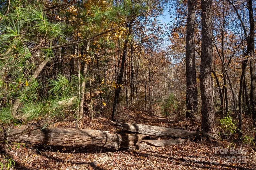 TBD Old Toxaway Road Brevard, NC 28712