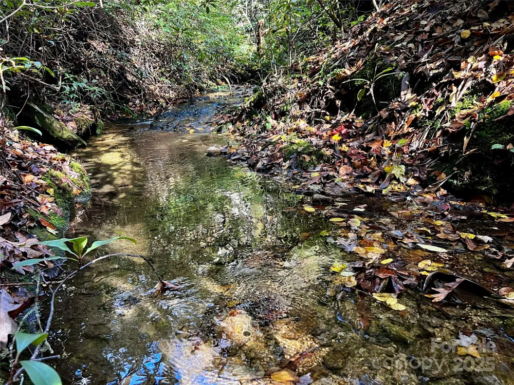 TBD Old Toxaway Road Brevard, NC 28712