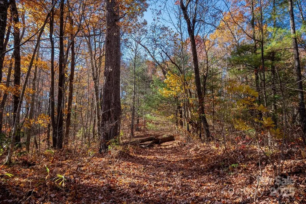 TBD Old Toxaway Road Brevard, NC 28712