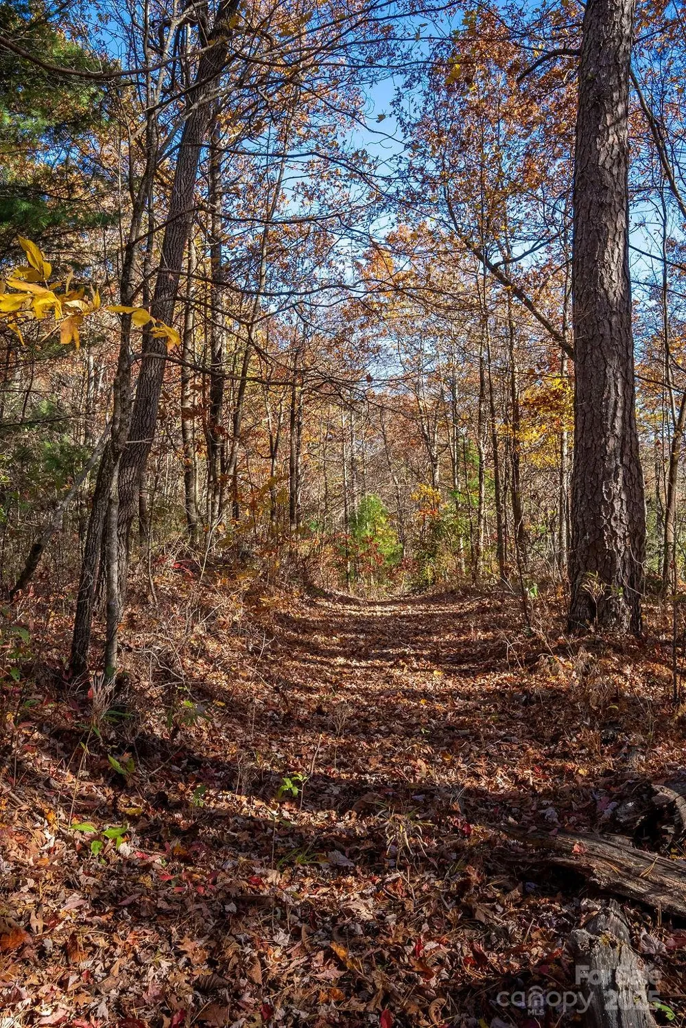 TBD Old Toxaway Road Brevard, NC 28712