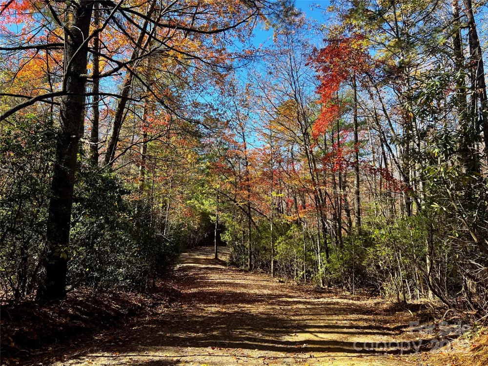 TBD Old Toxaway Road Brevard, NC 28712