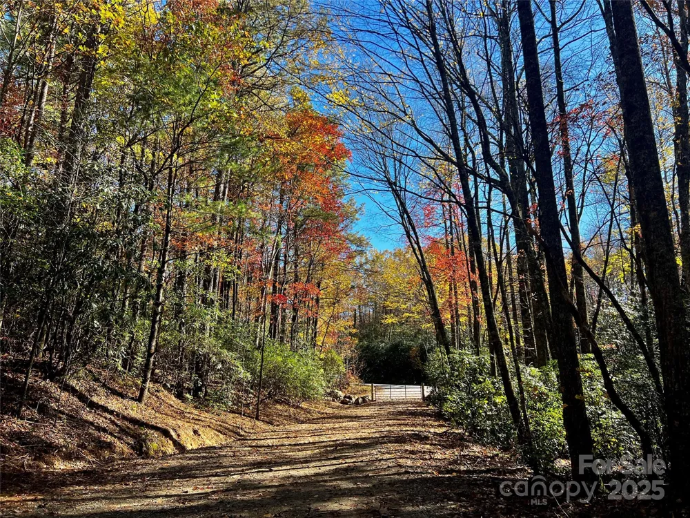 TBD Old Toxaway Road Brevard, NC 28712