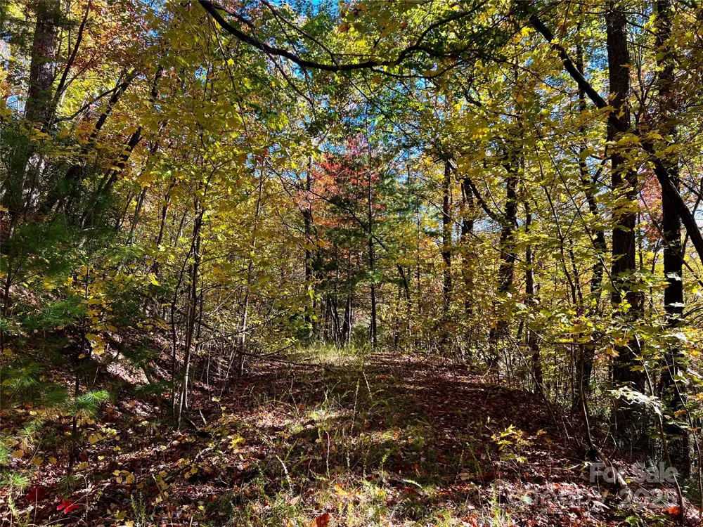 TBD Old Toxaway Road Brevard, NC 28712