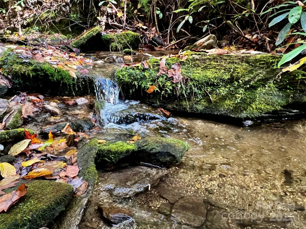 TBD Old Toxaway Road Brevard, NC 28712
