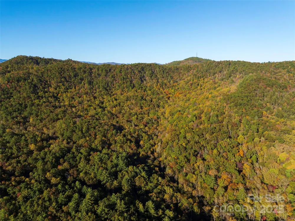 TBD Old Toxaway Road Brevard, NC 28712