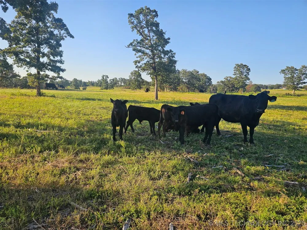 43681 W 71st Street S Jennings, OK 74038