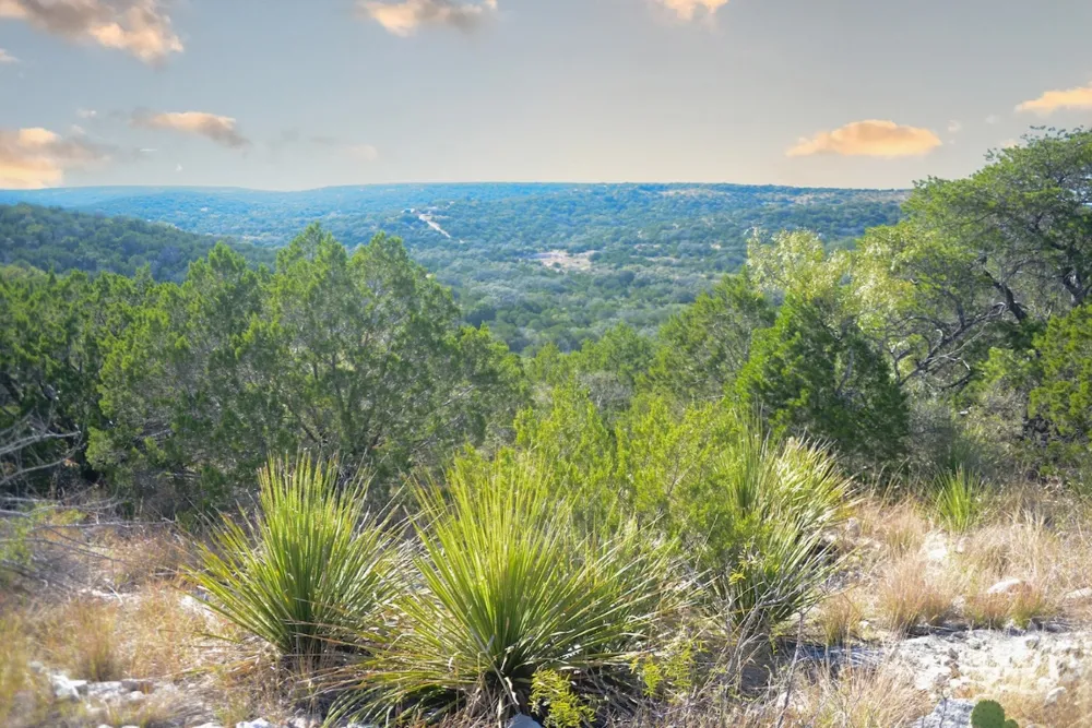 Address Not Shown Rocksprings, TX 78880