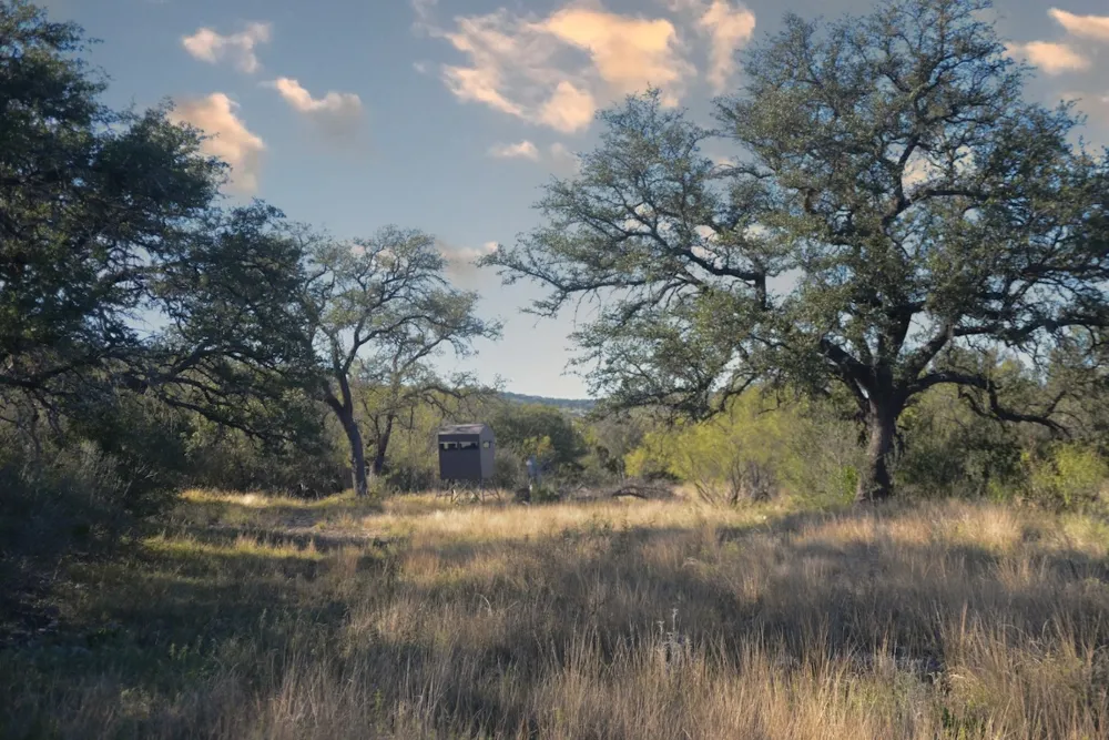 Address Not Shown Rocksprings, TX 78880