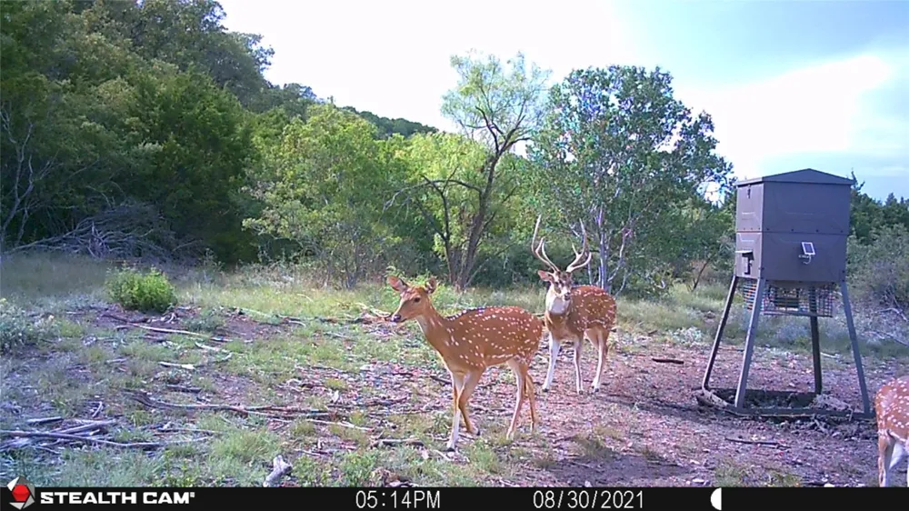 Address Not Shown Rocksprings, TX 78880