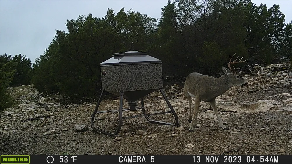 Address Not Shown Rocksprings, TX 78880