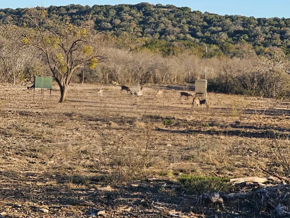 Address Not Shown Rocksprings, TX 78880