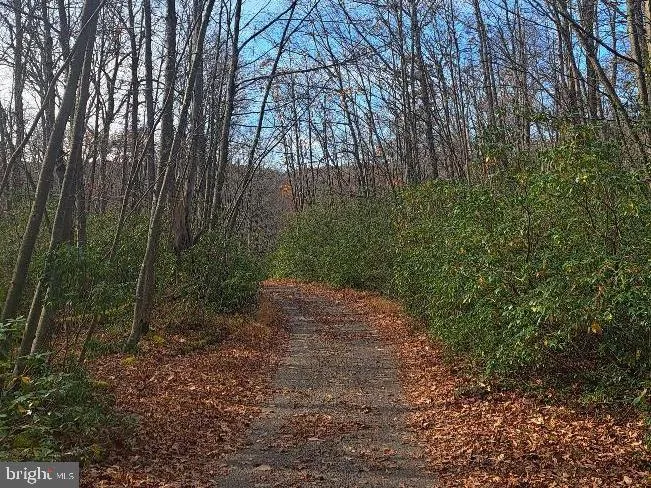 FOX TAIL ROAD Oakland, MD 21550