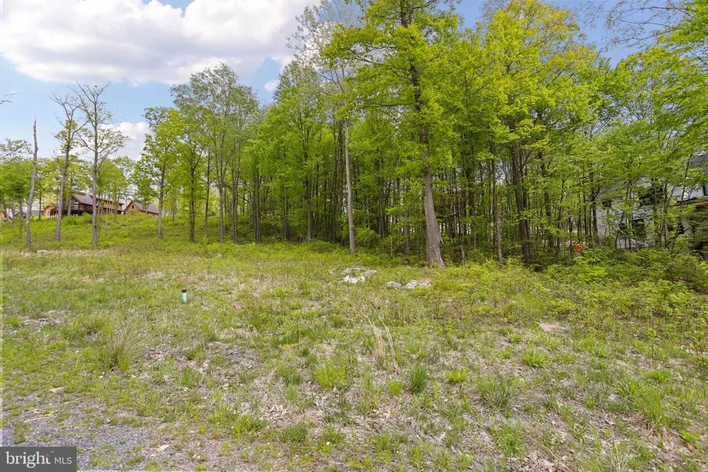 NORTH CAMP ROAD Mc Henry, MD 21541