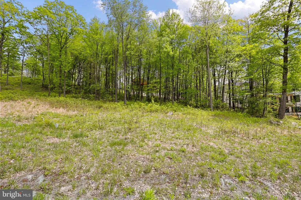 NORTH CAMP ROAD Mc Henry, MD 21541