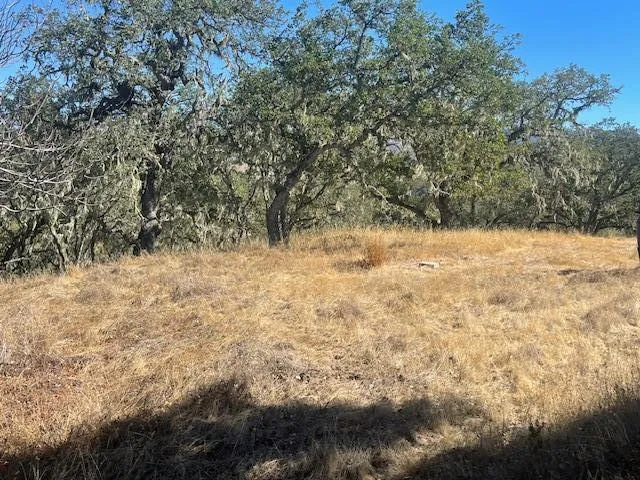 Cachagua Road Carmel Valley, CA 93924