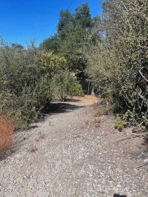 Cachagua Road Carmel Valley, CA 93924