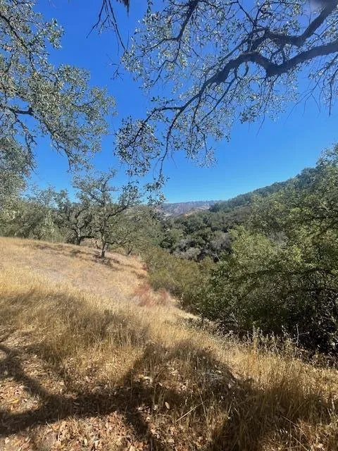 Cachagua Road Carmel Valley, CA 93924