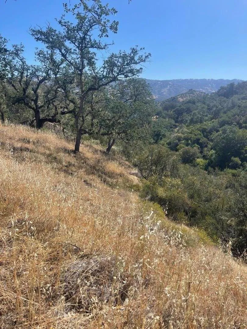 Cachagua Road Carmel Valley, CA 93924