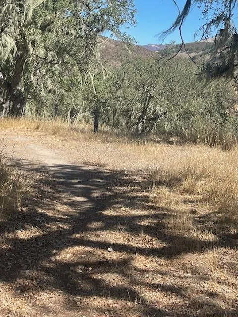 Cachagua Road