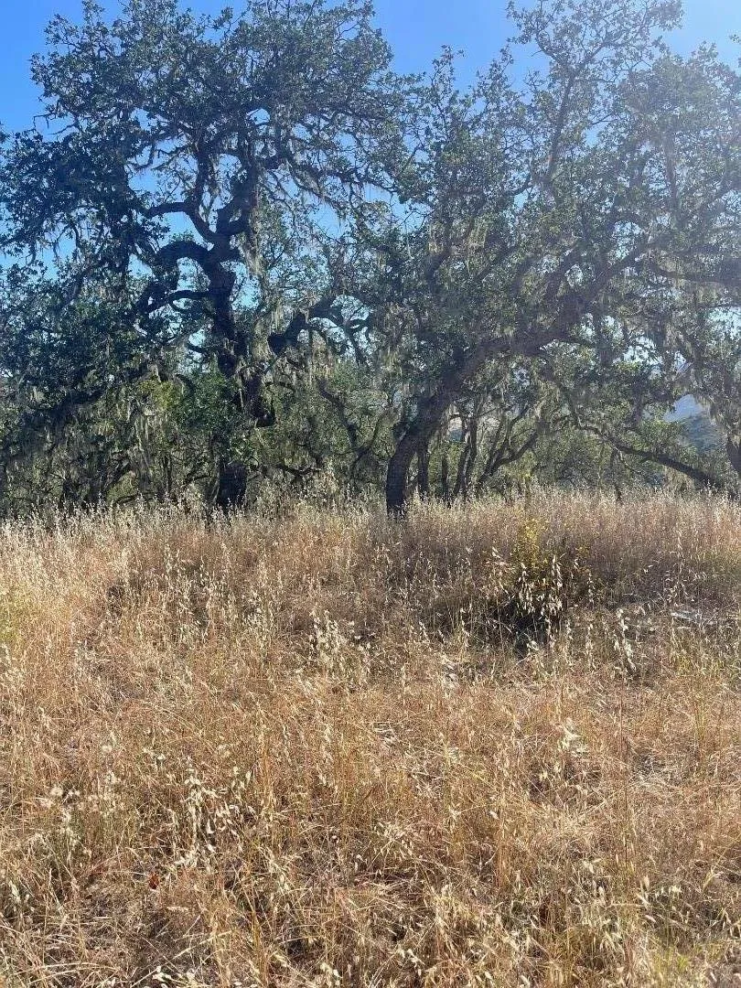 Cachagua Road Carmel Valley, CA 93924