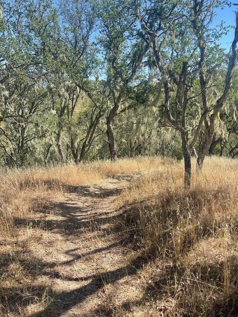 Cachagua Road Carmel Valley, CA 93924