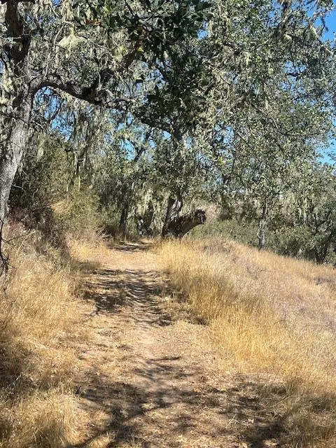 Cachagua Road Carmel Valley, CA 93924