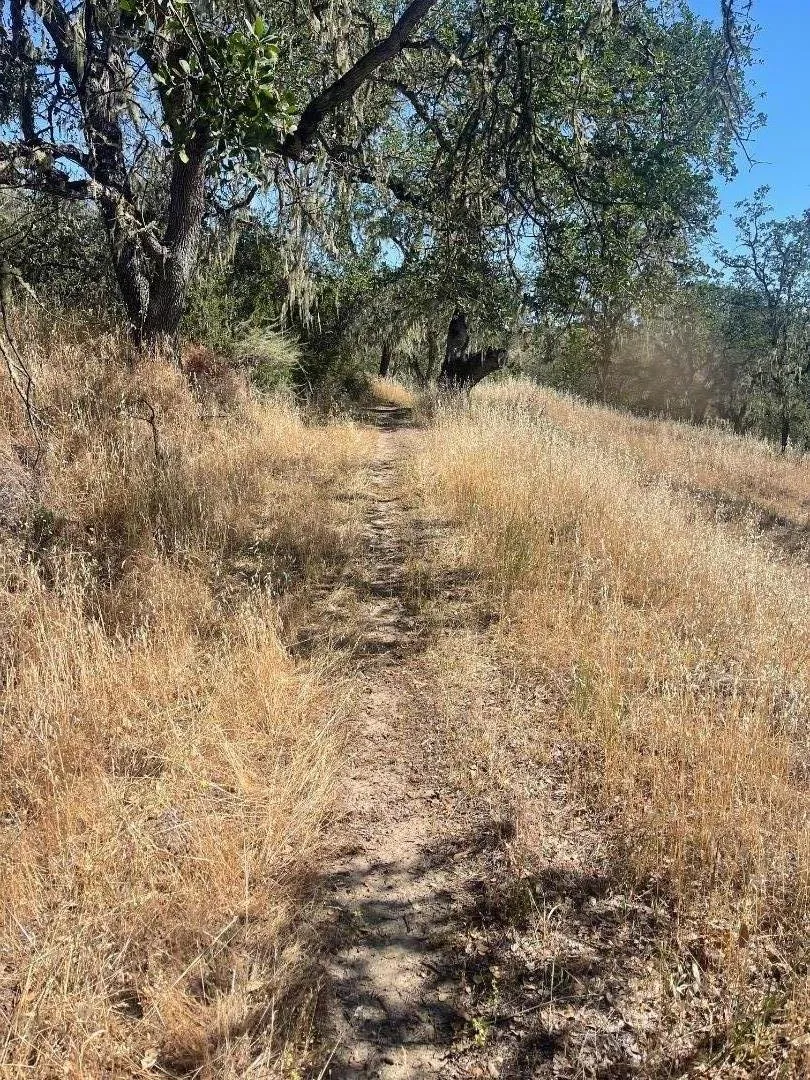 Cachagua Road Carmel Valley, CA 93924