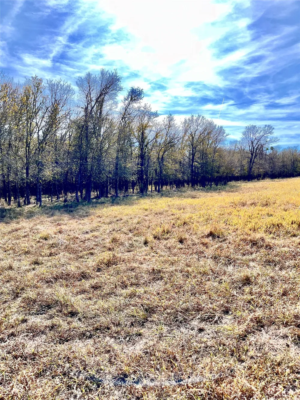 674 County Road 309 Rockdale, TX 76567